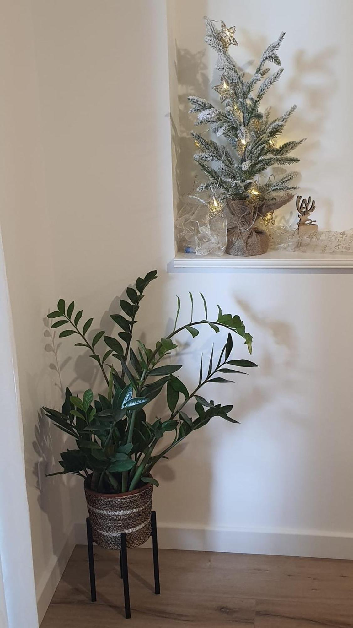 Apartman Lili Split Zewnętrze zdjęcie